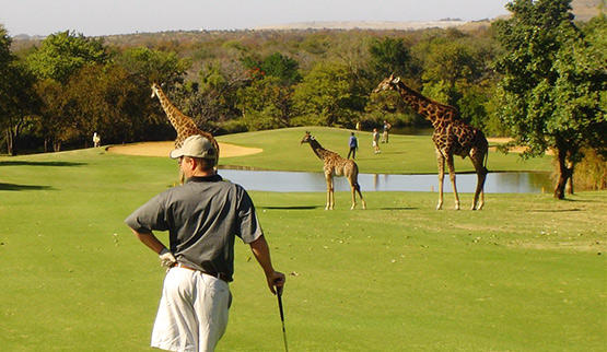 President Golf Club