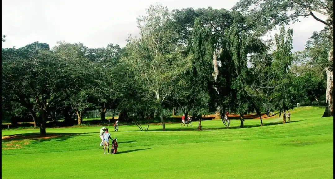 Golf Equipment Background